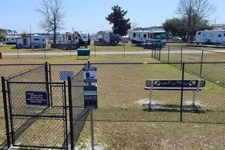 Dog Park at Silver Sands RV Park